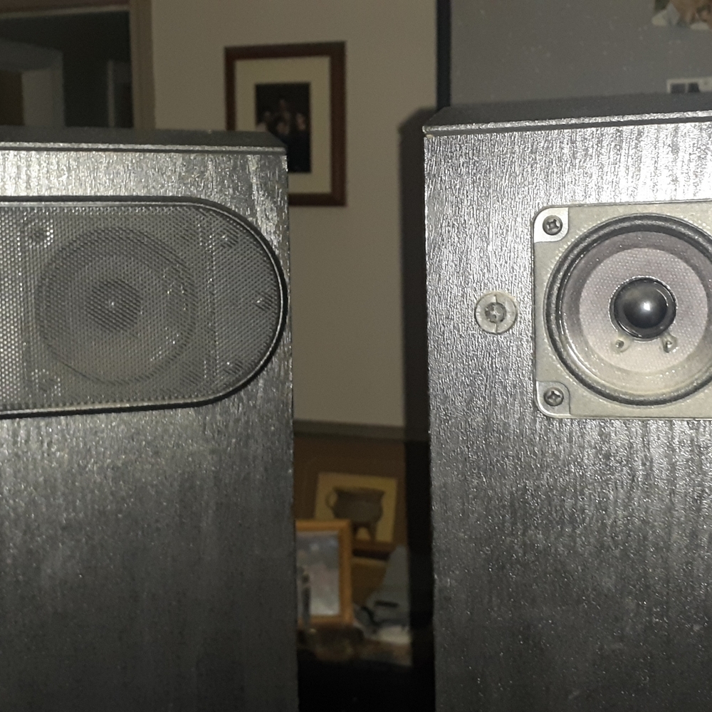 301 series Bose tower speakers
